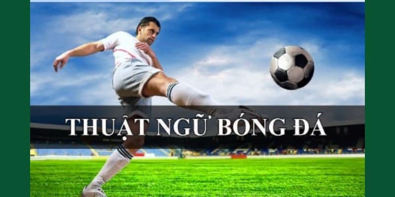 Thuật ngữ cá độ bóng đá – Thông tin cập nhật mới nhất